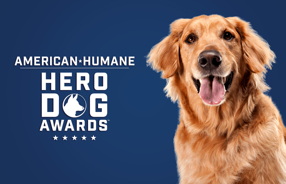 American Humane Hero Dog Awards TV Insider
